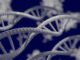 Dna D Biology Genetic Research  - Mahmoud-Ahmed / Pixabay