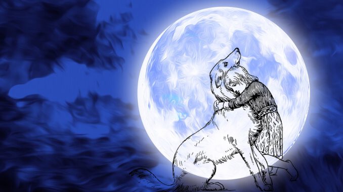 Dog Doggies Pet Moon Night Sky Dog Doggies Pet Moon Night Sky - chiplanay / Pixabay