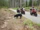 Motorcycling Mountain Roads Corsica  - dendoktoor / Pixabay