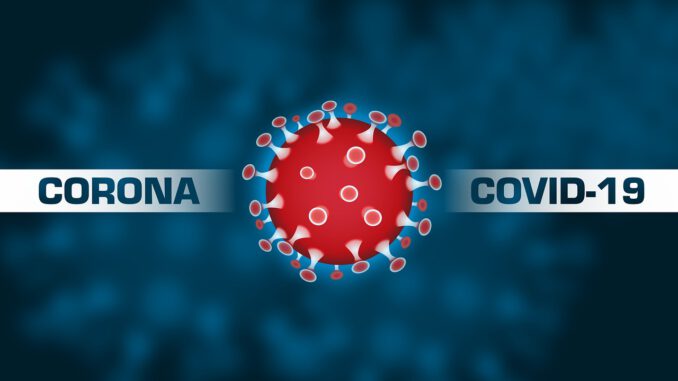 Virus Symbol Coronavirus Pandemic  - iXimus / Pixabay