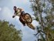 Airborne Whip Ramp Jump Nature  - RonaldPlett / Pixabay