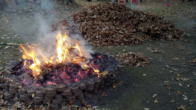 Fire Pit Burning Leaves Fire Pit Burning Leaves - brianstephens00 / Pixabay