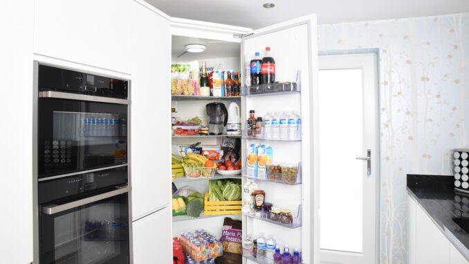 Fridge Fridge Door Refrigerator  - difisher / Pixabay