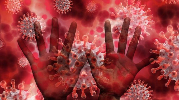 Hands Virus Bacteria Coronavirus  - geralt / Pixabay