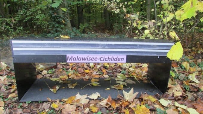 pol-hn-pressemitteilung-des-polizeipr-sidiums-heilbronn-vom-26-10-2020-mit-berichten-aus-dem-main-ta