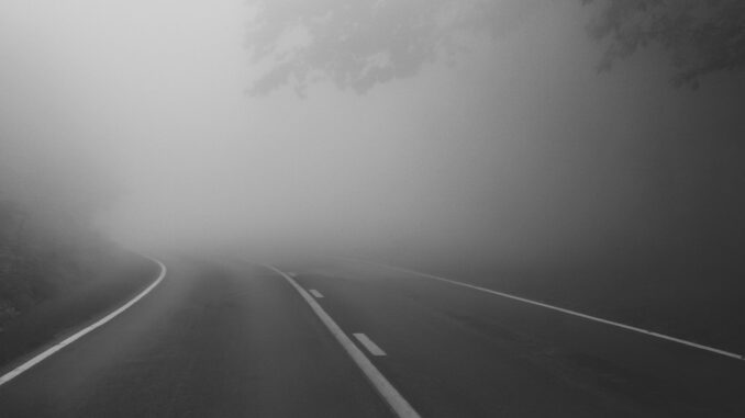 Road Fog Street Trees Foggy Mood  - leahopebonzer / Pixabay
