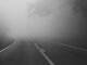 Road Fog Street Trees Foggy Mood  - leahopebonzer / Pixabay