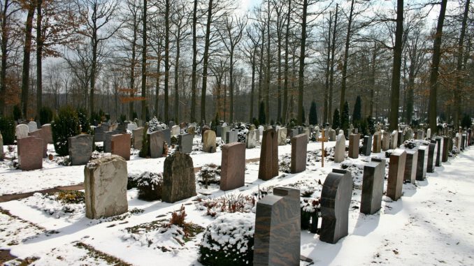 Cemetery Woodland Cemetery Forest  - Catkin / Pixabay
