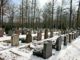Cemetery Woodland Cemetery Forest  - Catkin / Pixabay