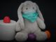 Easter  Easter Bunny Easter Eggs  - Mylene2401 / Pixabay