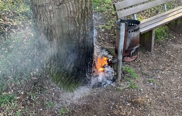2021-04-03 Mülleimerbrand Wertheim Foto- Feuerwehr Wertheim