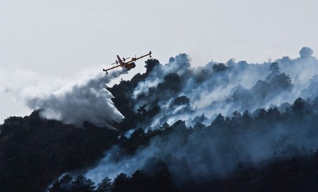 Waldbrand am Urlaubsort | Presseportal