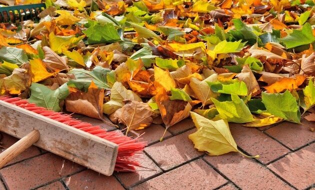Herbstlaub richtig entsorgen | Presseportal