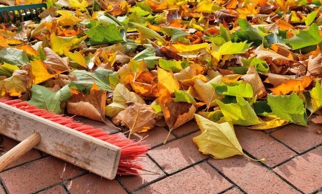 Herbstlaub: Wann Fegen Pflicht ist