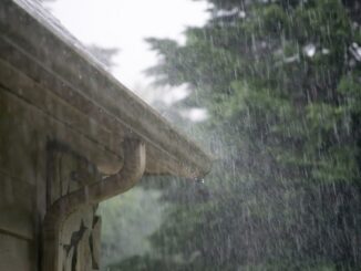 Schutz vor Wasserschaden: Regenrinnen richtig reinigen