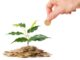 Fürs Klima spenden? | Presseportal