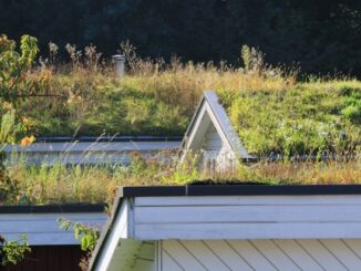 Beratung zu Dachbegrünung startet | Presseportal