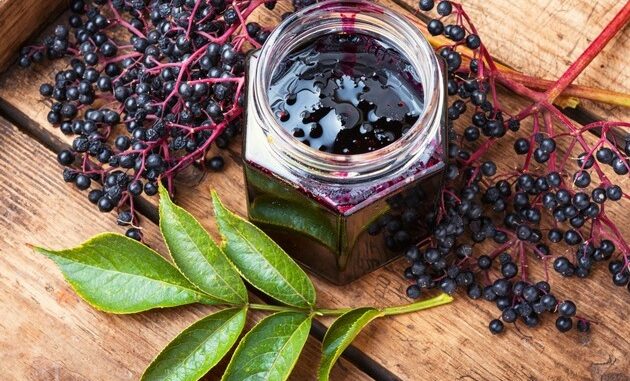 Wussten Sie schon, dass schwarze Holunderbeeren unbedingt ge-kocht werden müssen?