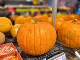 Auch Halloween-Kürbisse sind essbar | Presseportal