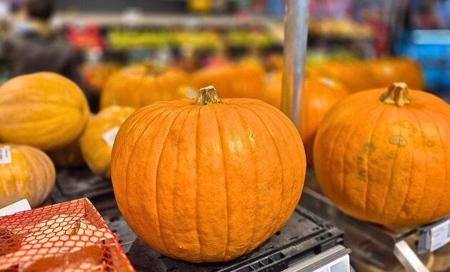 Auch Halloween-Kürbisse sind essbar | Presseportal