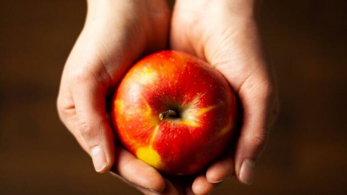 Serie "Lebensmittelretter gesucht", Teil 2: Obst und Gemüse