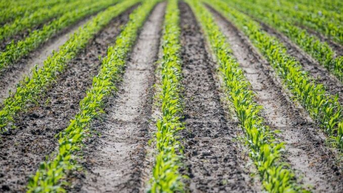 Wasserschutzgebiet Niederstetten wird herabgestuft - Veränderte Nutzungsauflagen bei Stickstoffdüngung und Bodenbearbeitung