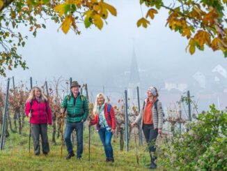 Neue Kraft tanken mit inspirierenden Erlebnissen - Das "Liebliche Taubertal" lädt zu einer Auszeit ein