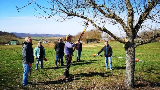 Mit dem richtigen Schnitt zu mehr Ertrag - Beratungsstelle für Obst, Garten und Landschaft bietet Schnittkurse an