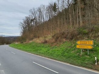 Baumfällarbeiten L 521 zwischen Riedern und Anwesen Breitenau / Main-Tauber-Kreis