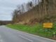 Baumfällarbeiten L 521 zwischen Riedern und Anwesen Breitenau / Main-Tauber-Kreis
