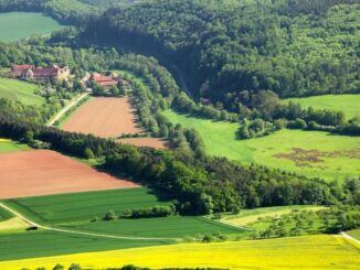 Auf den Spuren der Zisterzienser - Geführte Wanderung rund um das Kloster Bronnbach am 13. April