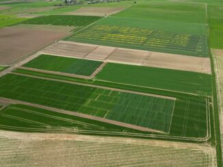 Führungen am Zentralen Versuchsfeld in Schwabhausen - Infoveranstaltung für Landwirte am 23. April