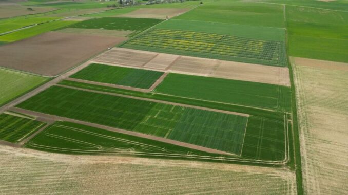 Führungen am Zentralen Versuchsfeld in Schwabhausen - Infoveranstaltung für Landwirte am 23. April