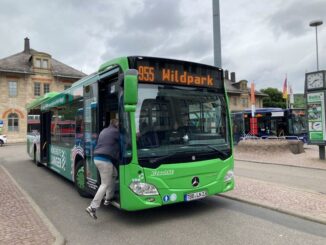 50-Jahre Jubiläum: Kostenfreier Shuttle zum Wildpark am Wochenende