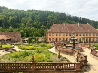 Sonderführung - Der Bronnbacher Abteigarten als Ort der Ruhe