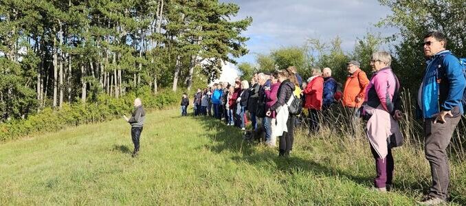 Taubertäler Wandertage boten Naturgenuss pur