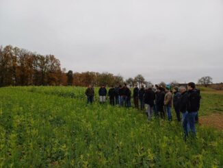 Zahlreiche Landwirte informierten sich bei Feldtag zum Thema Beisaaten im Raps / Main-Tauber-Kreis