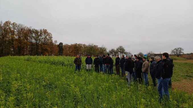 Zahlreiche Landwirte informierten sich bei Feldtag zum Thema Beisaaten im Raps / Main-Tauber-Kreis
