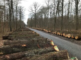 Submission Taubertal erzielte 1,27 Millionen Euro