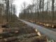 Submission Taubertal erzielte 1,27 Millionen Euro