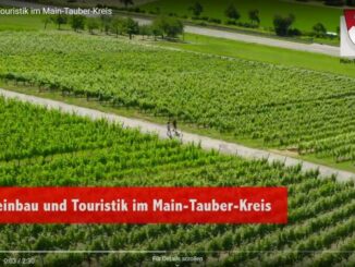 Weinbau und Touristik im Main-Tauber-Kreis