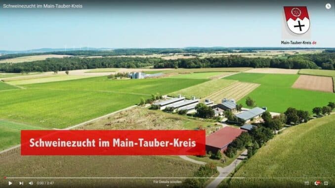 Video: Schweinezucht im Main-Tauber-Kreis