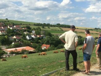 Musterregion - Alternative Wege der Rinderhaltung aufgezeigt