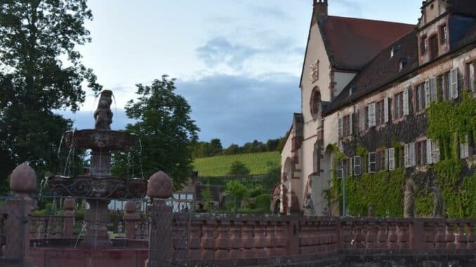 Stimmungsvolle Atmosphäre  genießen: Abendführung am Freitag, 22. Juli, im Kloster Bronnbach