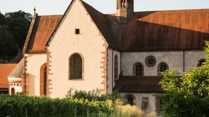 Violinist Florian Meierott musiziert am 31. Juli in Bronnbach