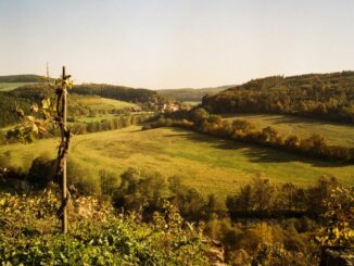 "Auf den Spuren der Zisterzienser": Rundwanderung um die Bronnbacher Klosterlandschaft am Freitag, 26. August