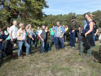 Landschaftspflegetag Baden-Württemberg thematisiert Beweidung und Pflege