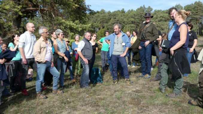Landschaftspflegetag Baden-Württemberg thematisiert Beweidung und Pflege