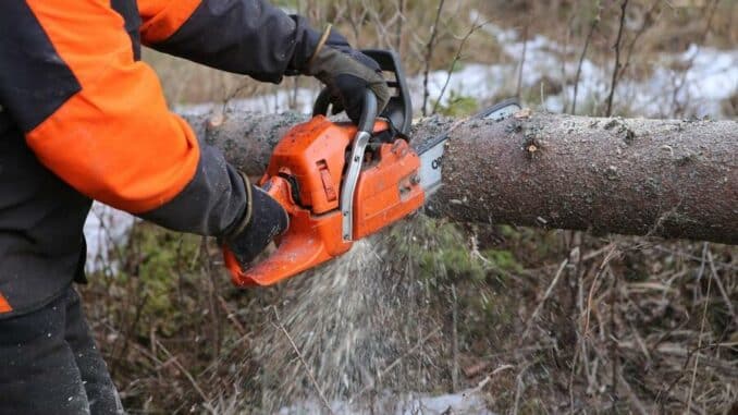 Flächenlos-Versteigerung in Dittigheim am Freitag, 20. Januar