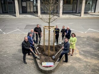 50 Jahre Landkreis - Landrat und Fraktionsvorsitzende pflanzen Jubiläumsbaum